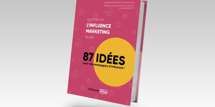 Livre 87 idées de campagnes d'influence